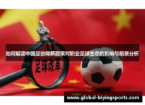 如何解读中国足协降薪政策对职业足球生态的影响与前景分析