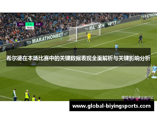 希尔德在本场比赛中的关键数据表现全面解析与关键影响分析