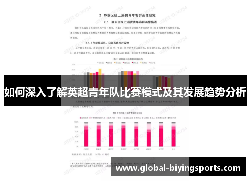 如何深入了解英超青年队比赛模式及其发展趋势分析