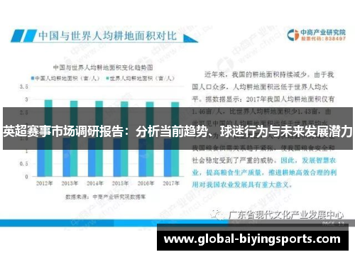 英超赛事市场调研报告：分析当前趋势、球迷行为与未来发展潜力